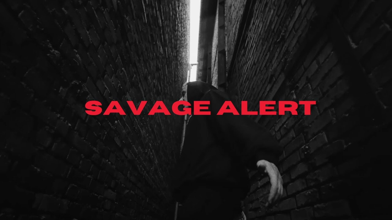 [free] vkie + sheder type beat - 'savage alert'