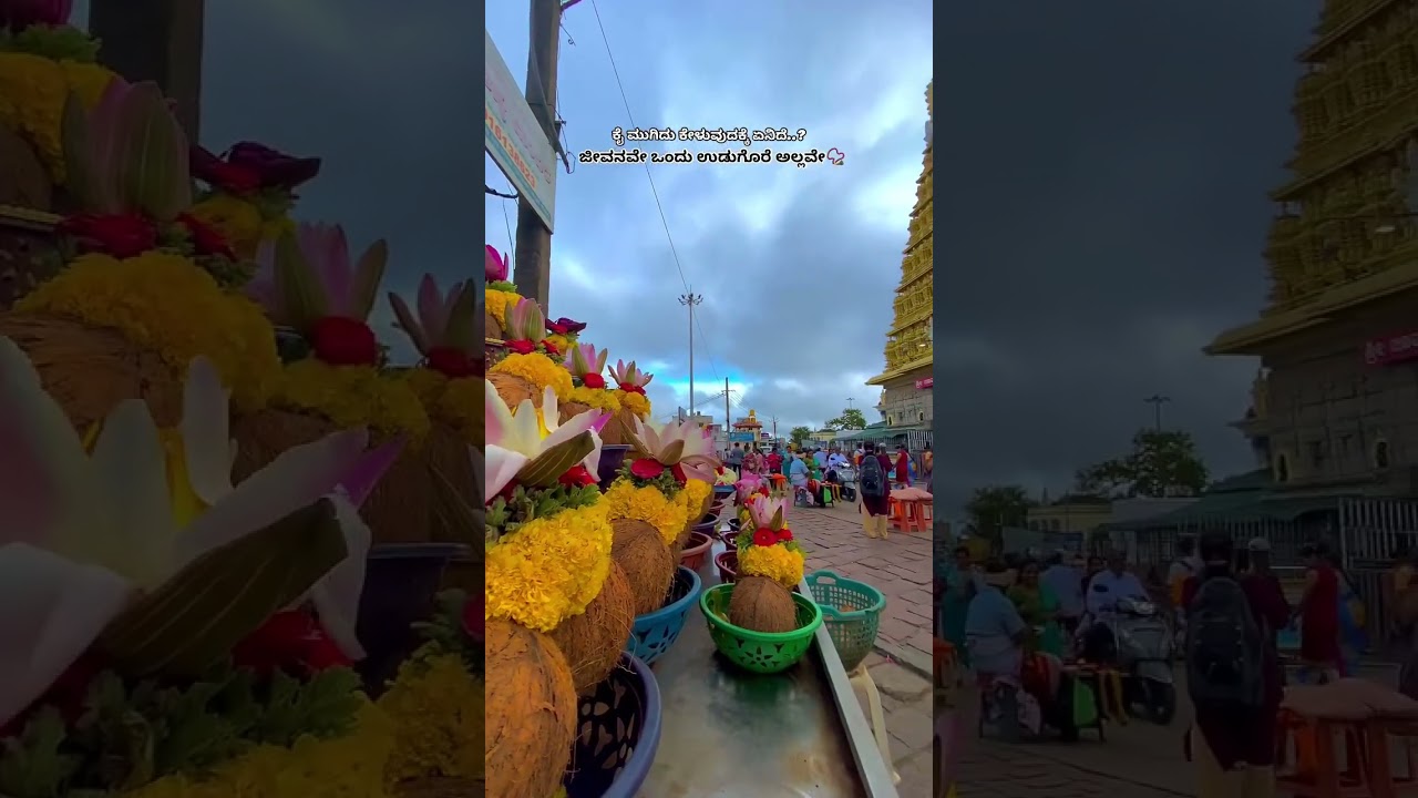 Chamundi betta 🙏🏻🌼 #chamundeshwari #mysore #youtubeshorts #shortsfeed #shortvideo