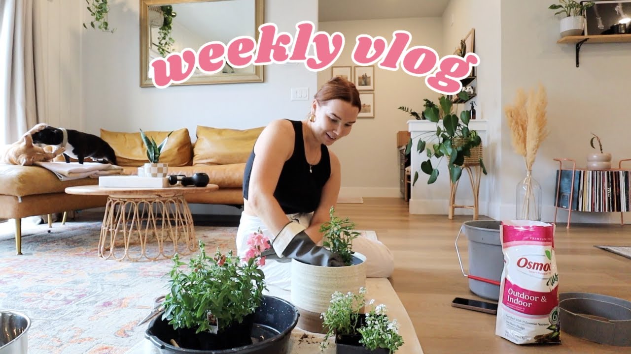 VLOG | what i cook in a week, car vlog + errands, haul, Eras Tour outfit