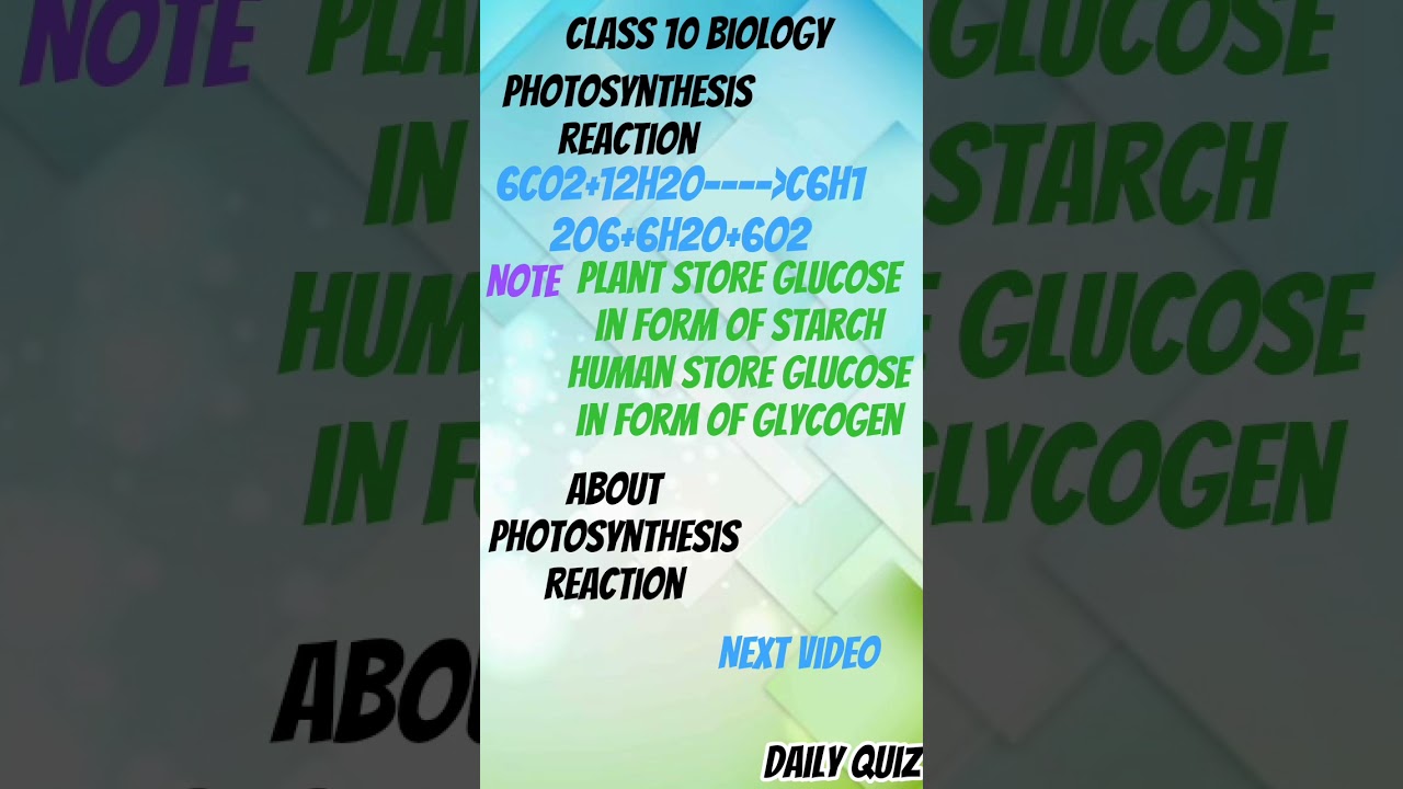 class 10 biology notes Life process part 3