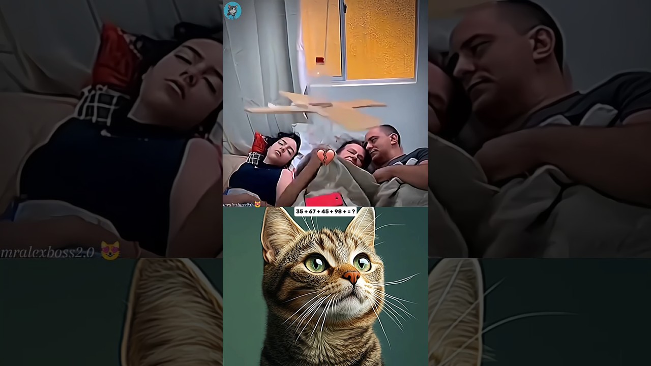 cat reaction 😆😂~mini wood toy woodworking art skill wood hand craft #shorts #catreaction #funny