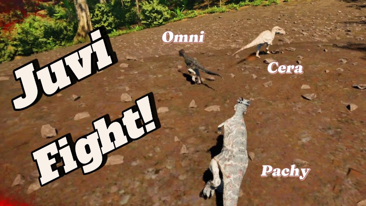 Juvi fight!