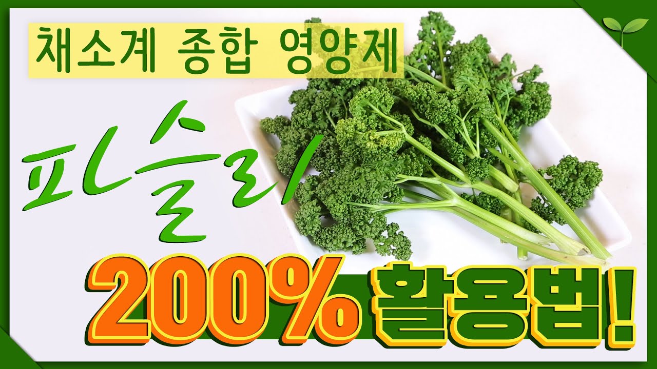 [채소 영양 원탑] 파슬리가 허브 중에 가장 널리 사용되는 이유!