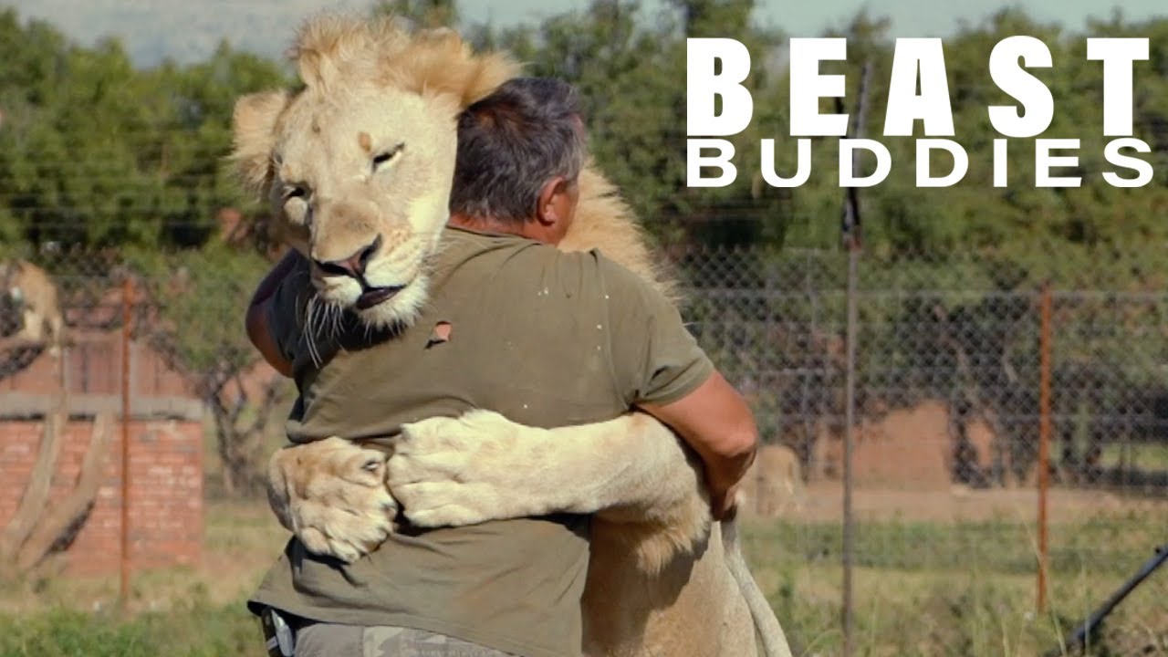 Meet The Man Who Cuddles Lions | BEAST BUDDIES