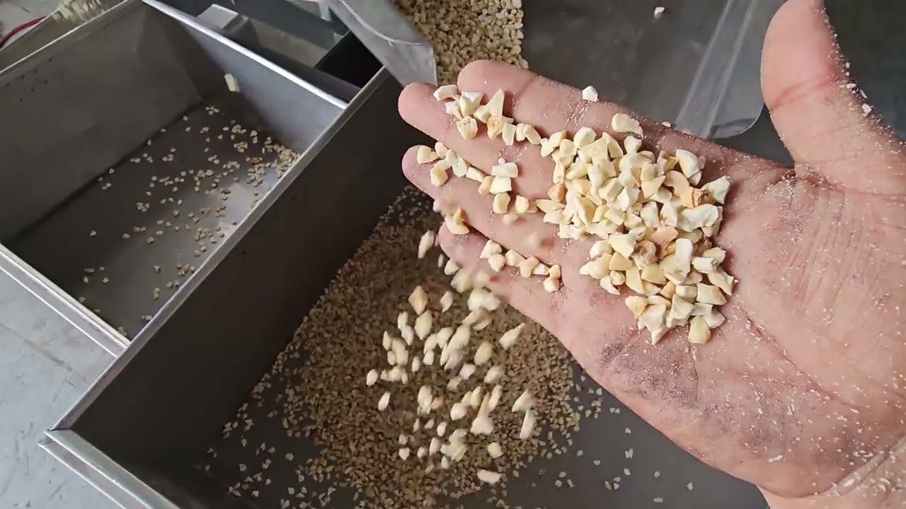 cashew-nut Dicing machine @perfecttechnology3312   #Chashewnut #machine #agriculture +91 7433809680