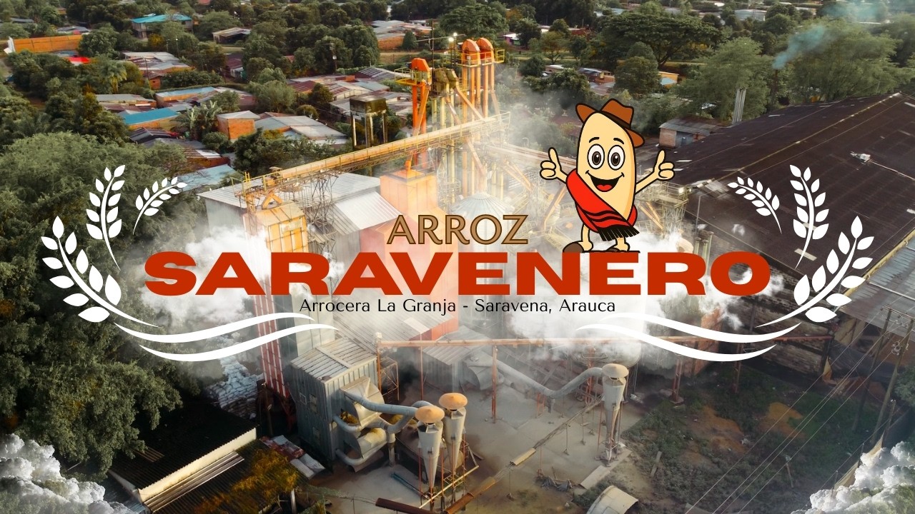 🌾 Arroz Saravenero – Orgullo de Nuestra Tierra 🌾