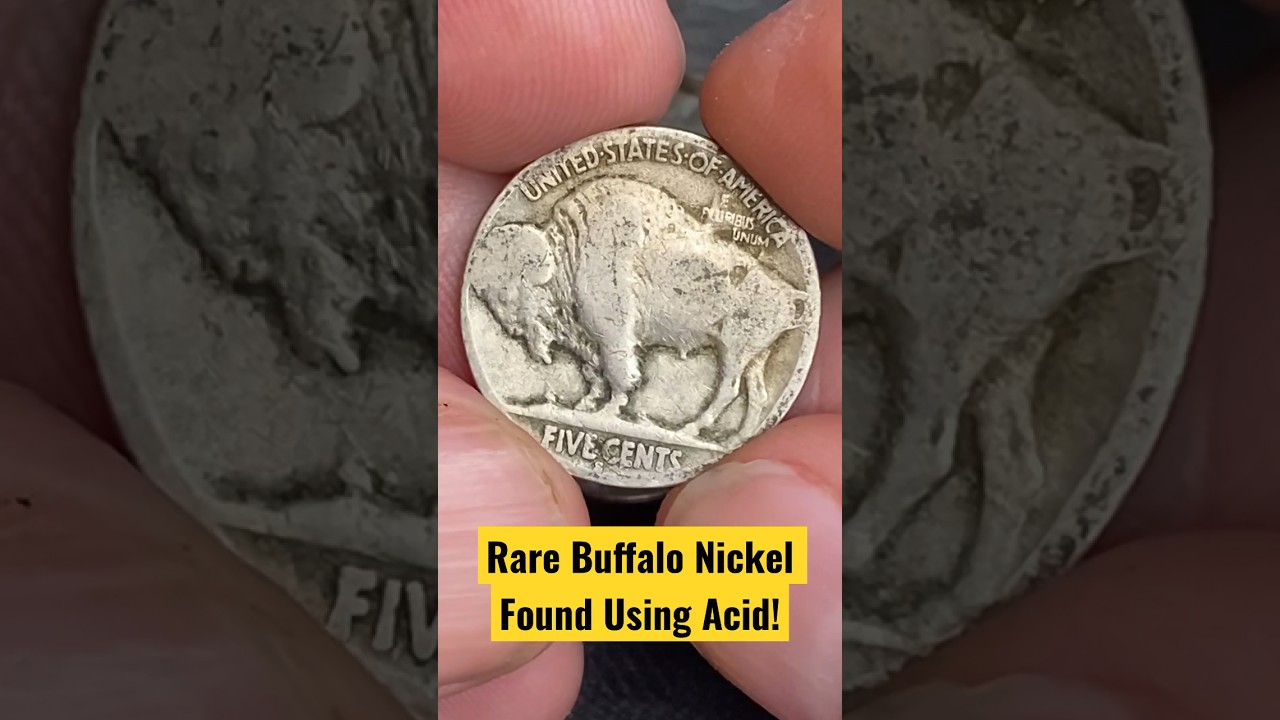 Rare Buffalo Nickel Found Using Acid! #youtubeshorts #buffalo #acid #nickel #coin