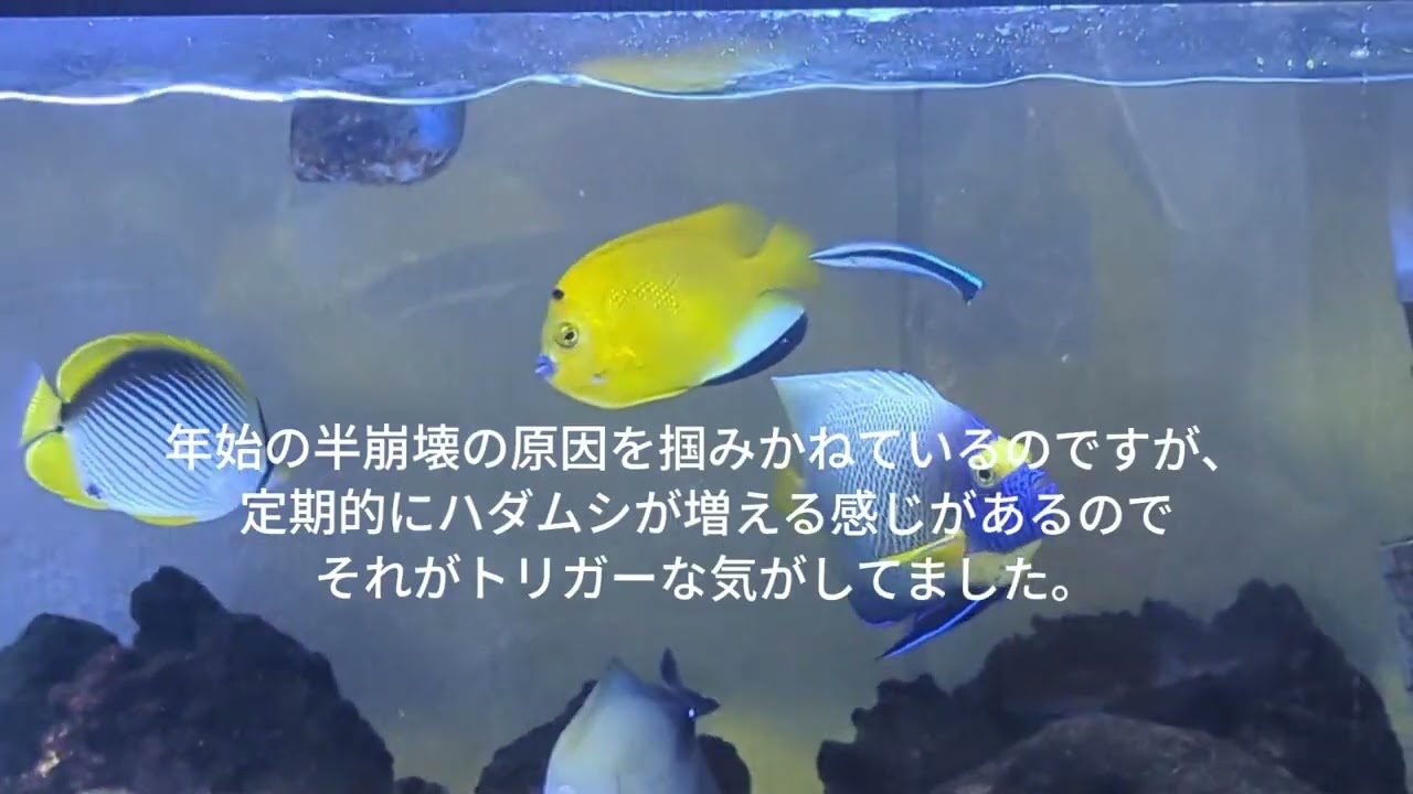 セパレーターを外したら　〜〜〜