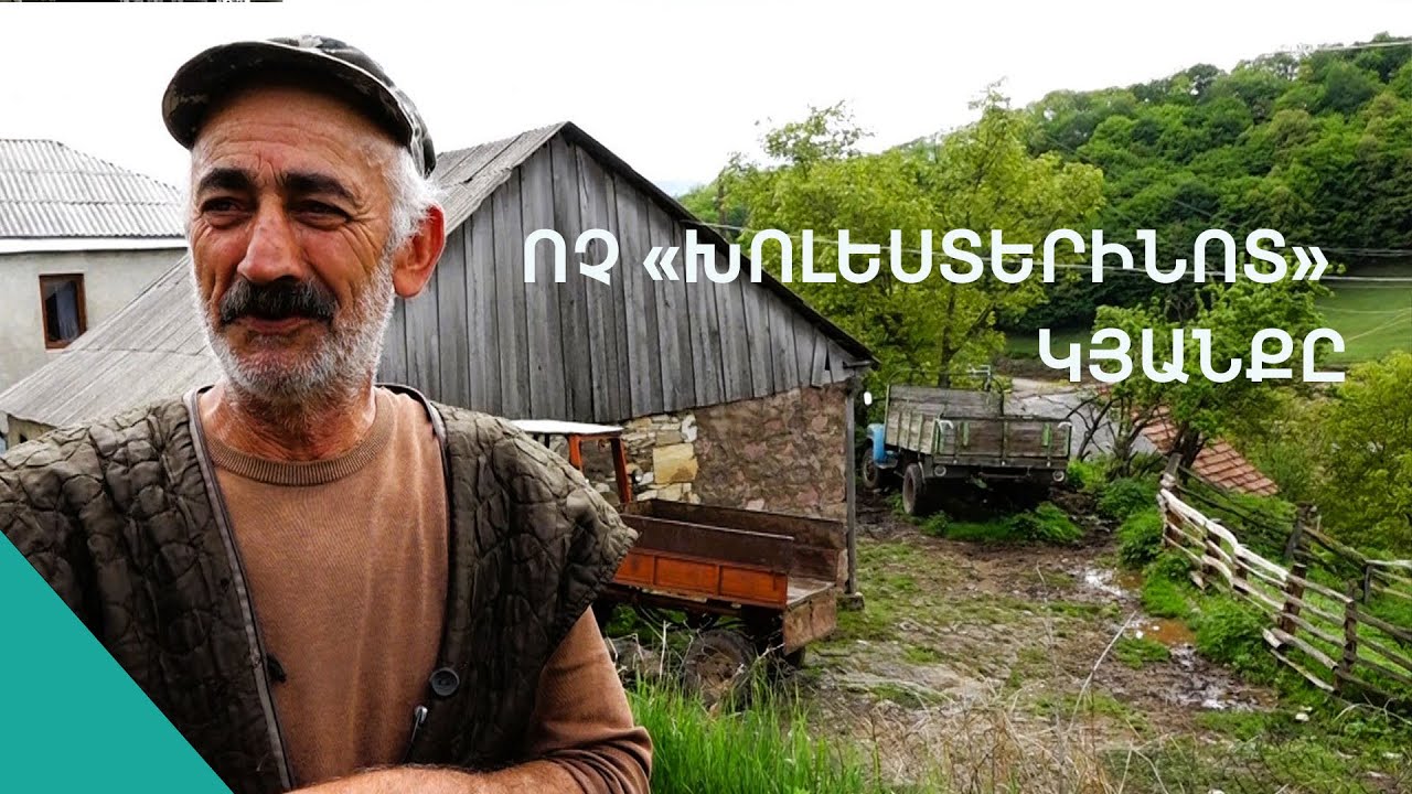Բա խի՞ ինձ խոլեստերին չի բռնում,որ քաղքցունա բռնում.  շամուտեցու խոհերը