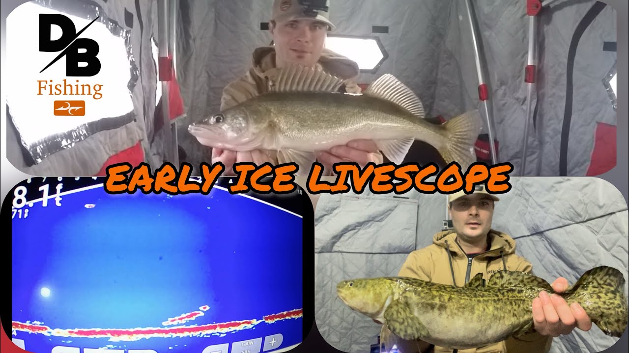 РАННИЙ ЛЕД с GARMIN LIVESCOPE | Рыбалка на озере!
