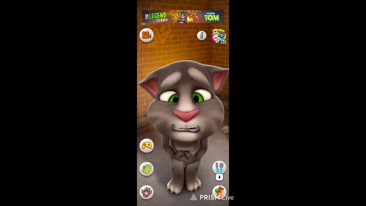 talking tom cat