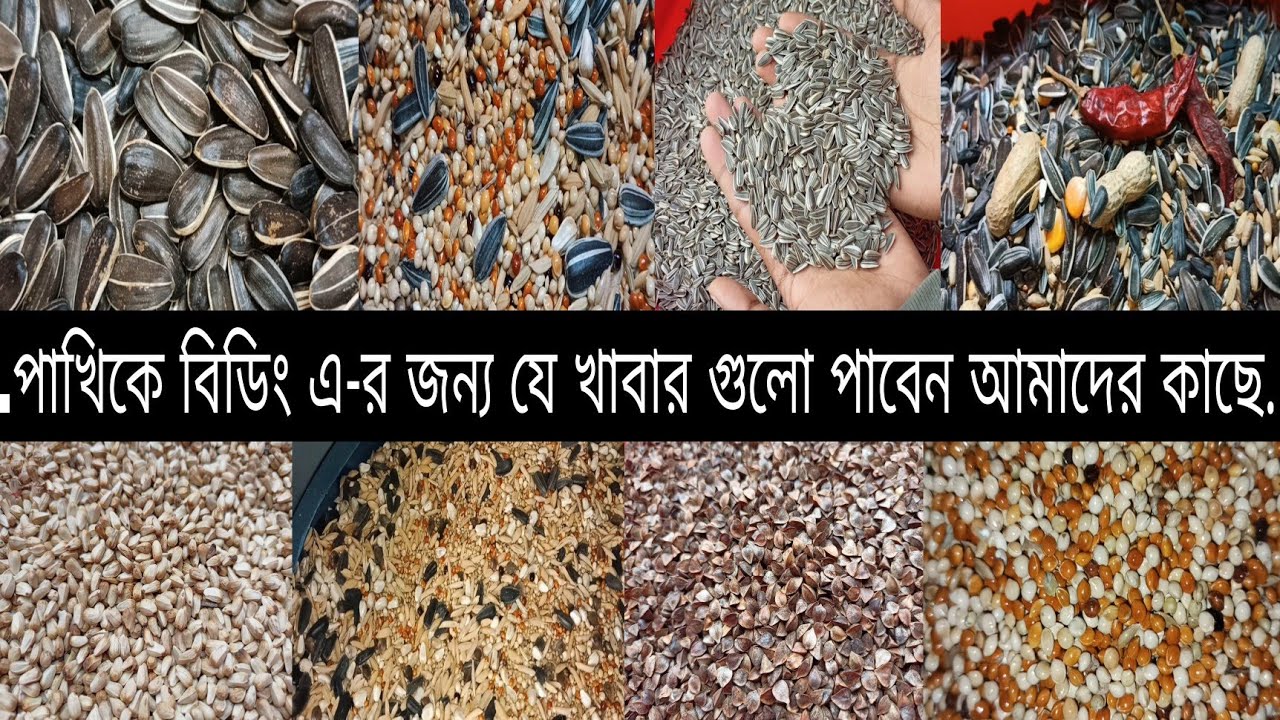পাখিকে বিডিং এ-র জন্য যে খাবার গুলো পাবেন আমাদের কাছে..(2025)..