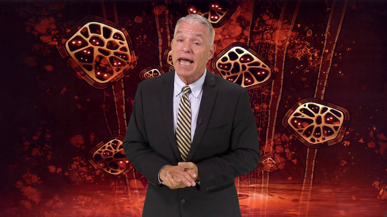 Hoy, Shin Megami Tensei fans!