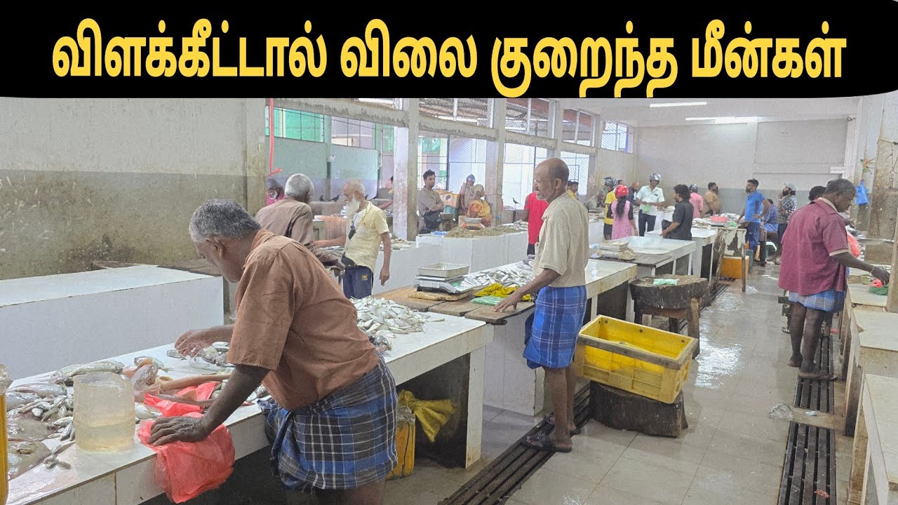 யாழில் விளக்கீட்டால் விலை குறைந்த மீன்கள்  விலை😳|கல்வியங்காடு சந்தை