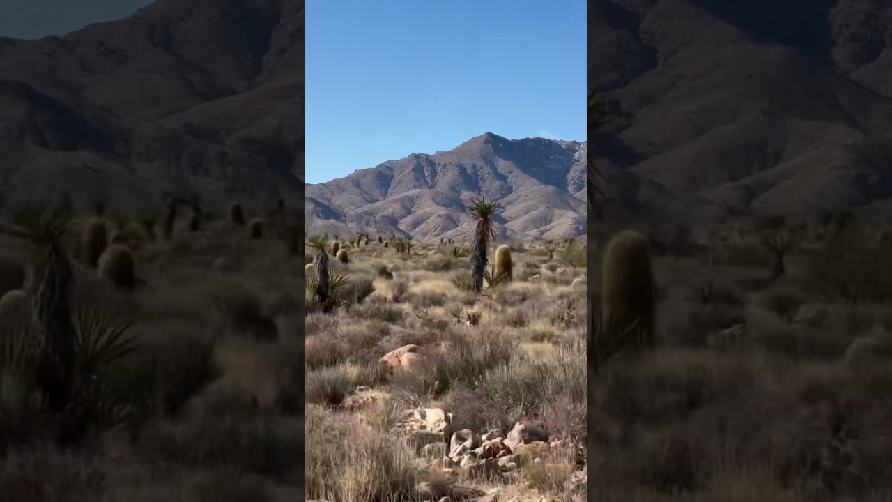 Providence Mountains State Recreation Area