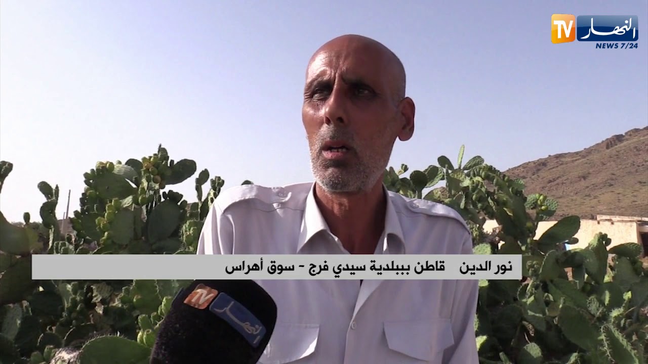 سوق أهراس:  سيدي فرج.. أفقر بلدية يمتهن سكانها زراعة التين الشوكي