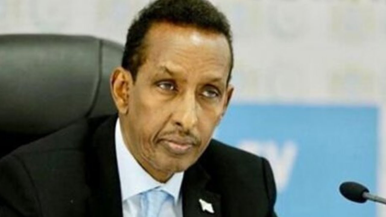 Wasiirka arimaha dibada Soomaaliya oo weerar afka ah ku qaaday DP World.