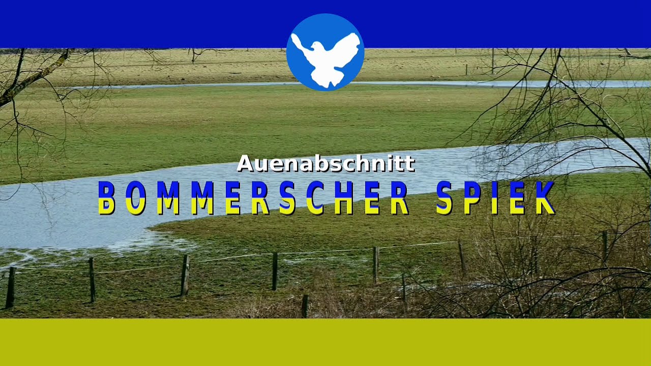 Auenlandschaft Bommersche Spiek