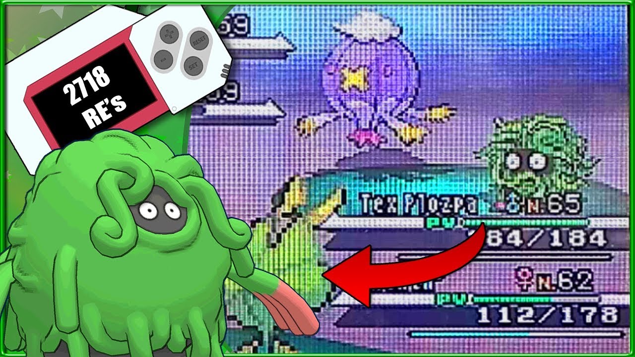 [SHINY🌟] ► BOULDENEU/TANGROWTH 2718 RE's - Pok&eacute;mon Noire