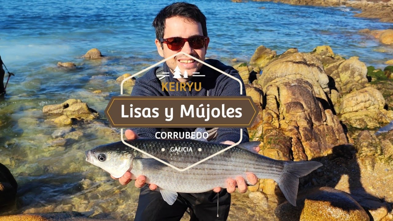 Pesca de Lisas y Mújoles a Ninfa con cañas Keiryu. ¡Impresionante!