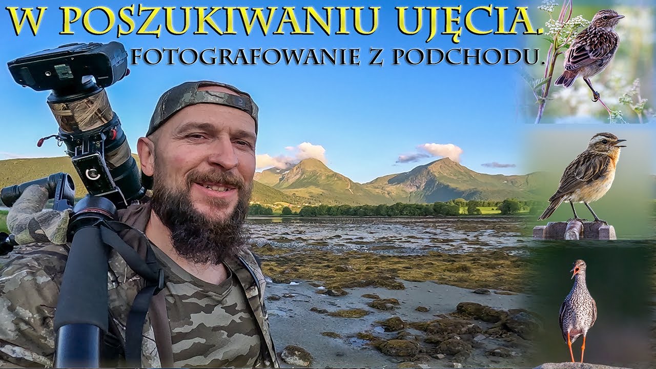 W poszukiwaniu ujęcia. Fotografowanie z podchodu.