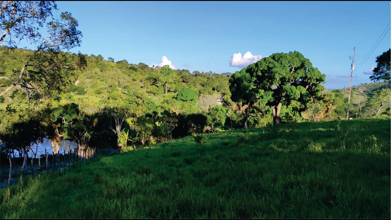 LINDA CHÁCARA À VENDA COM 8 HECTARES EM GARANHUNS - PE