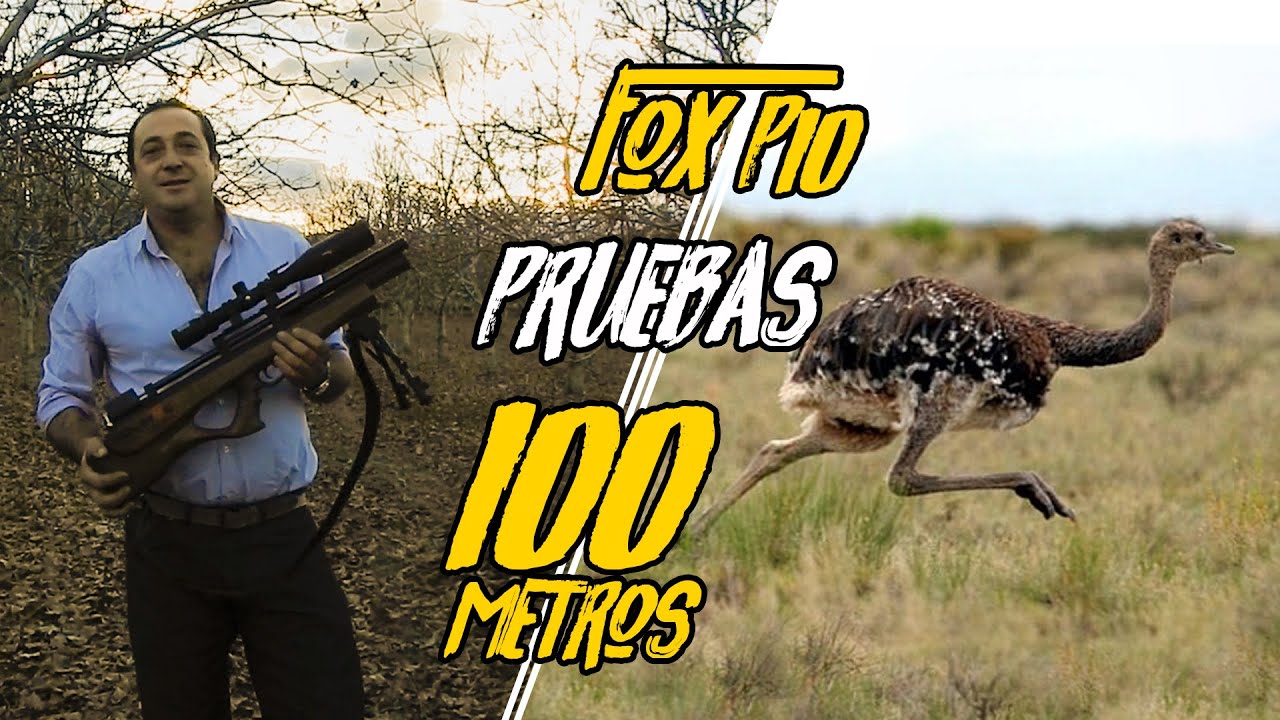 rifle pcp p10 bullpup cal 5,5 y 6,35 review completo y agrupaciones