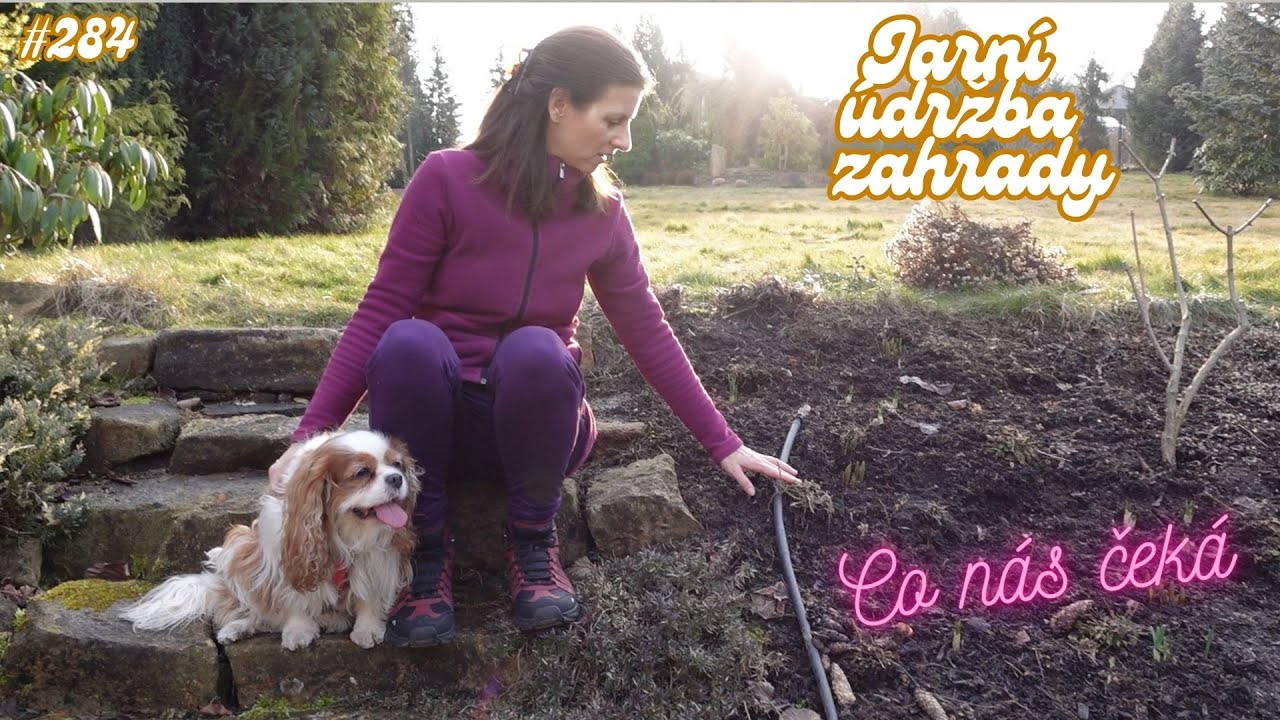 JARNÍ ÚDRŽBA ZAHRADY | STŘIH TRVALEK | CO NÁS ČEKÁ