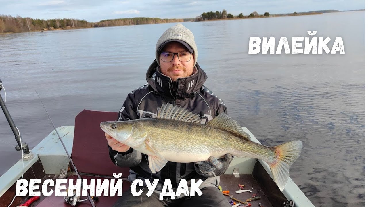 Весенний судак на Вилейском вдхр. Раттлин, мандула или резина?
