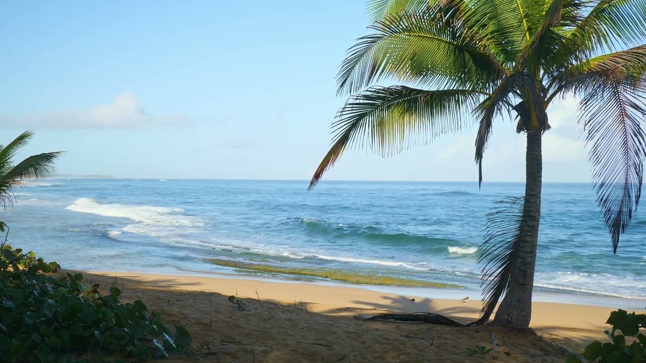 MORNING RELAXING SPACE, LOIZA, PUERTO RICO