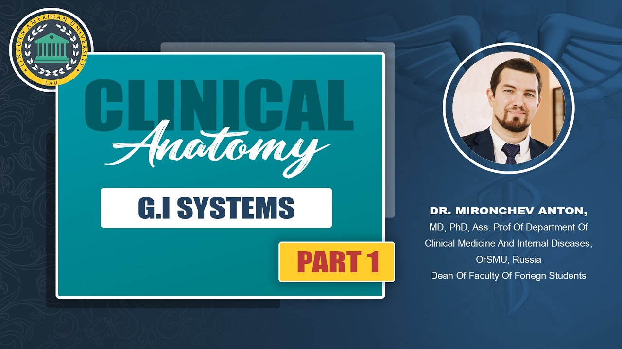 Clinical Anatomy Of Gastrointestinal System | Online Class by Dr. Mironchev Anton, Dean OrSMU | LAU