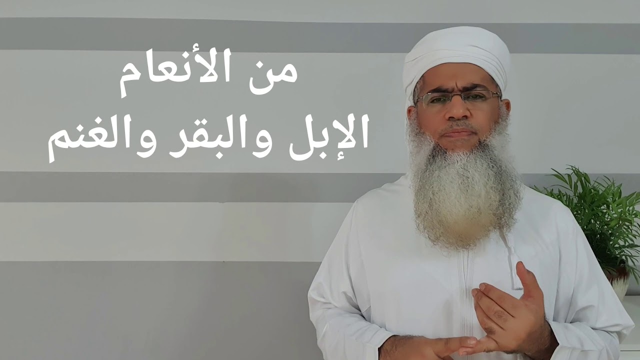 مختصر الفقه _ الدرس 50 _ أحكام الأضحية ج1 _ بدر بن هلال البوسعيدي