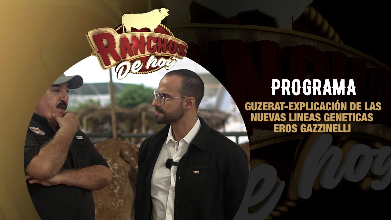 716.Guzerat | Explicación de la nuevas líneas genéticas | Eros Gazzinelli