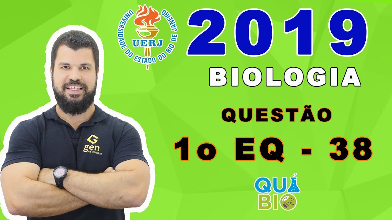 UERJ 2019 - 1o EQ - Questão 38 - Considere a ilustração abaixo de uma célula animal com padrão diplo