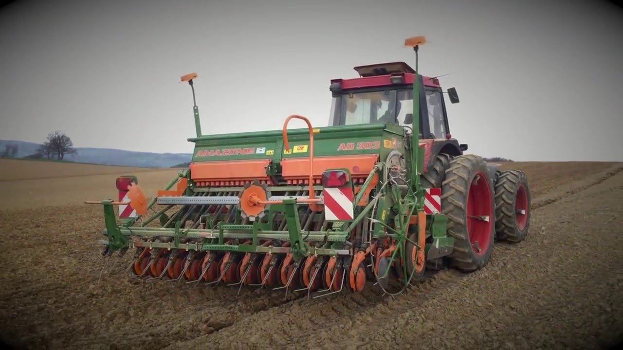 semis avoine 2016 - Case 1056XL - Amazone 3m