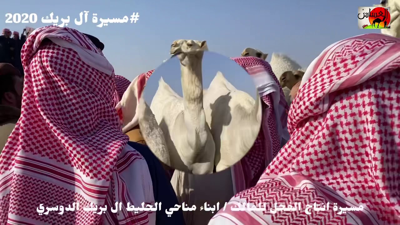 مسيرة بناء /مناحي الحليط ال بريك الدوسري 1442/4/27