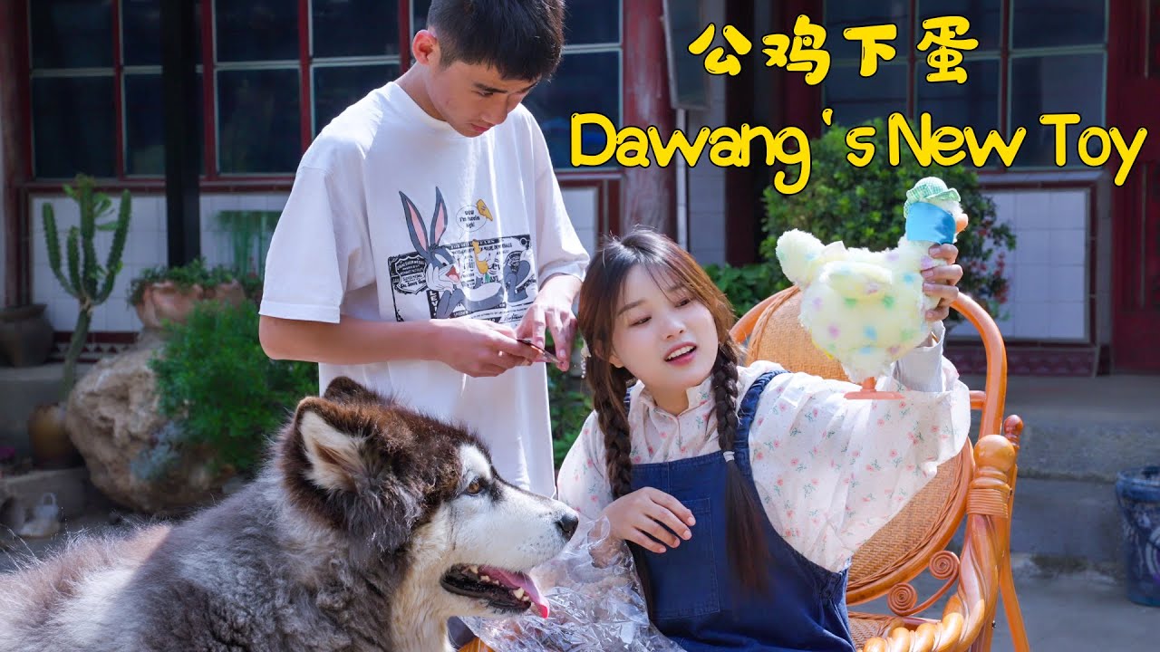 阿霞给大王买了新玩具，这“鸡”好像不能吃
