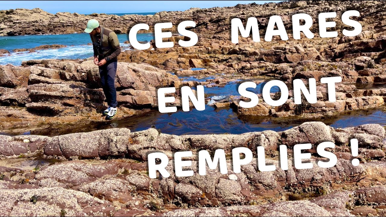 Je vais à la pêche SANS canne à pêche, POURQUOI ?!