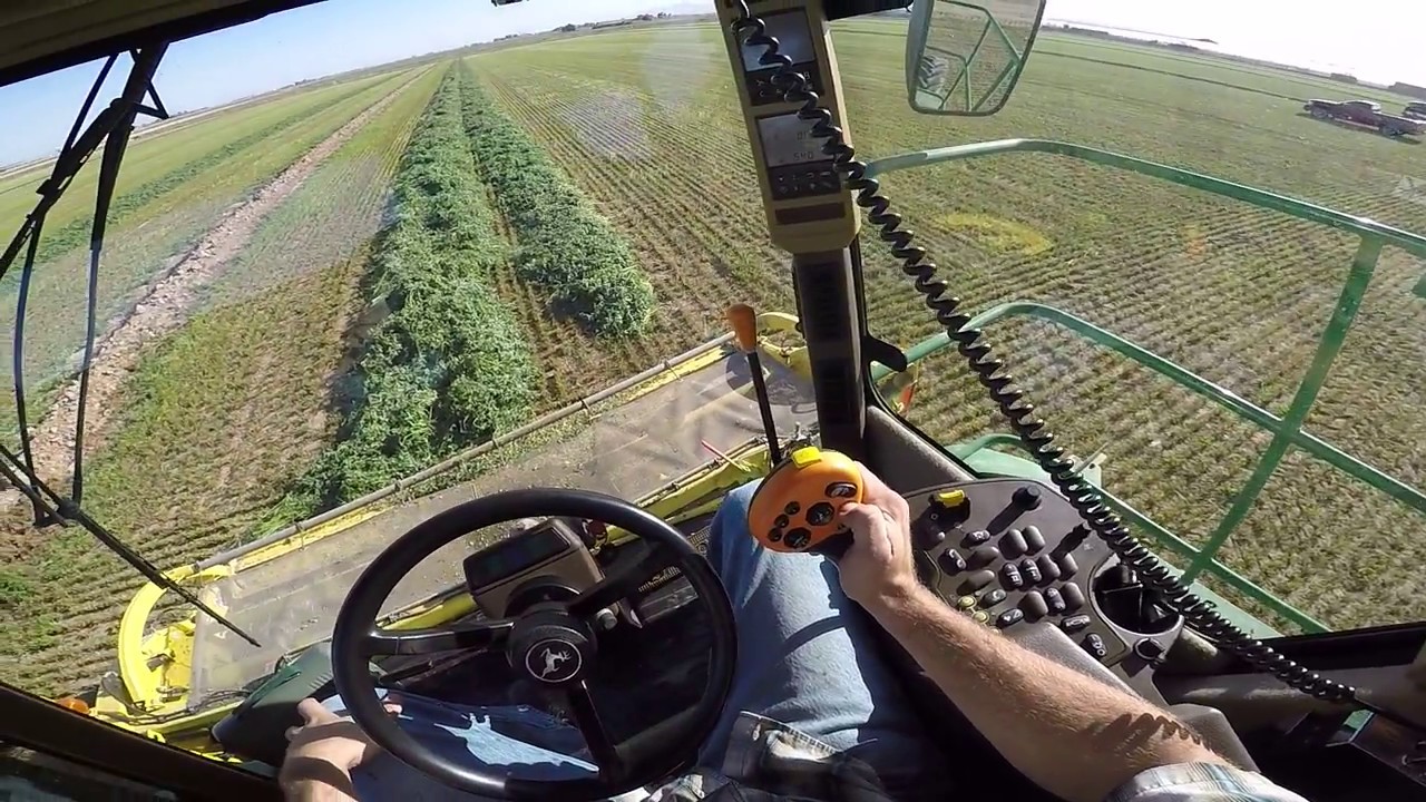 John Deere 7480 Forage Harvester, 640 Pickup, Alfalfa Green Chop, POV