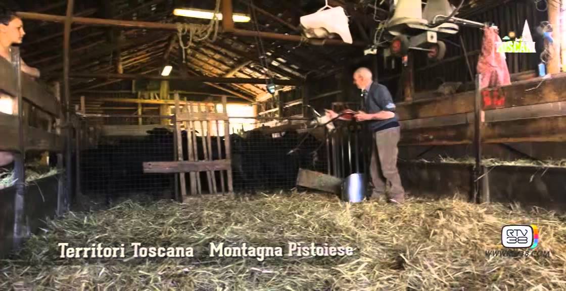 Territori Toscana Puntata 3 - Isola di Capraia, San Marcello Pistoiese