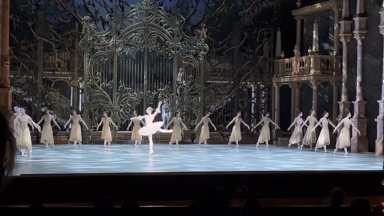 Iana Salenko 2 Akt Variation Sleeping Beauty