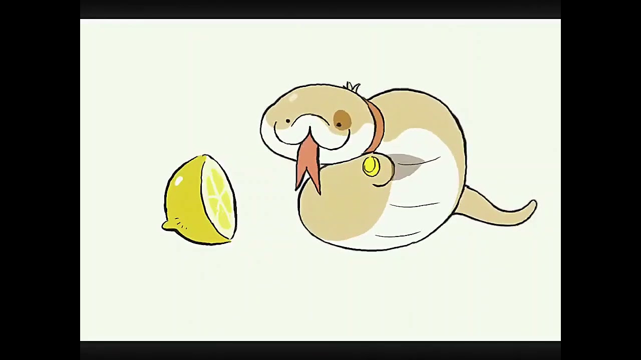 Eating Lemon 🍋 #sharkitty#anime #funny #cute #share