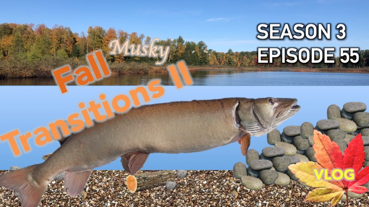 Fall Muskie Movements - Part 2: S3.E55