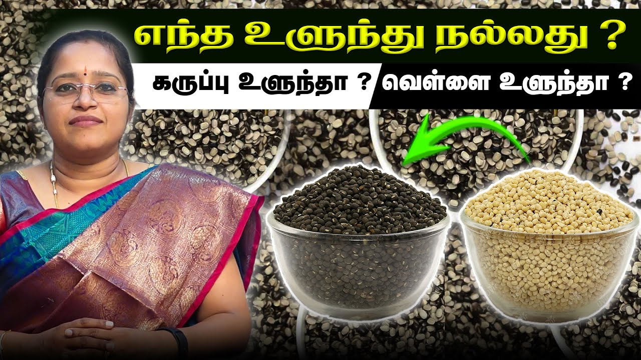 எந்த உளுந்து நல்லது ?கருப்பு உளுந்தா ? வெள்ளை உளுந்தா ? Benefits of black gram @ urad bean DR. VENI