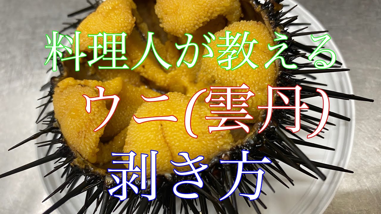 料理人が教える！ウニ（雲丹）の剥き方・開け方
