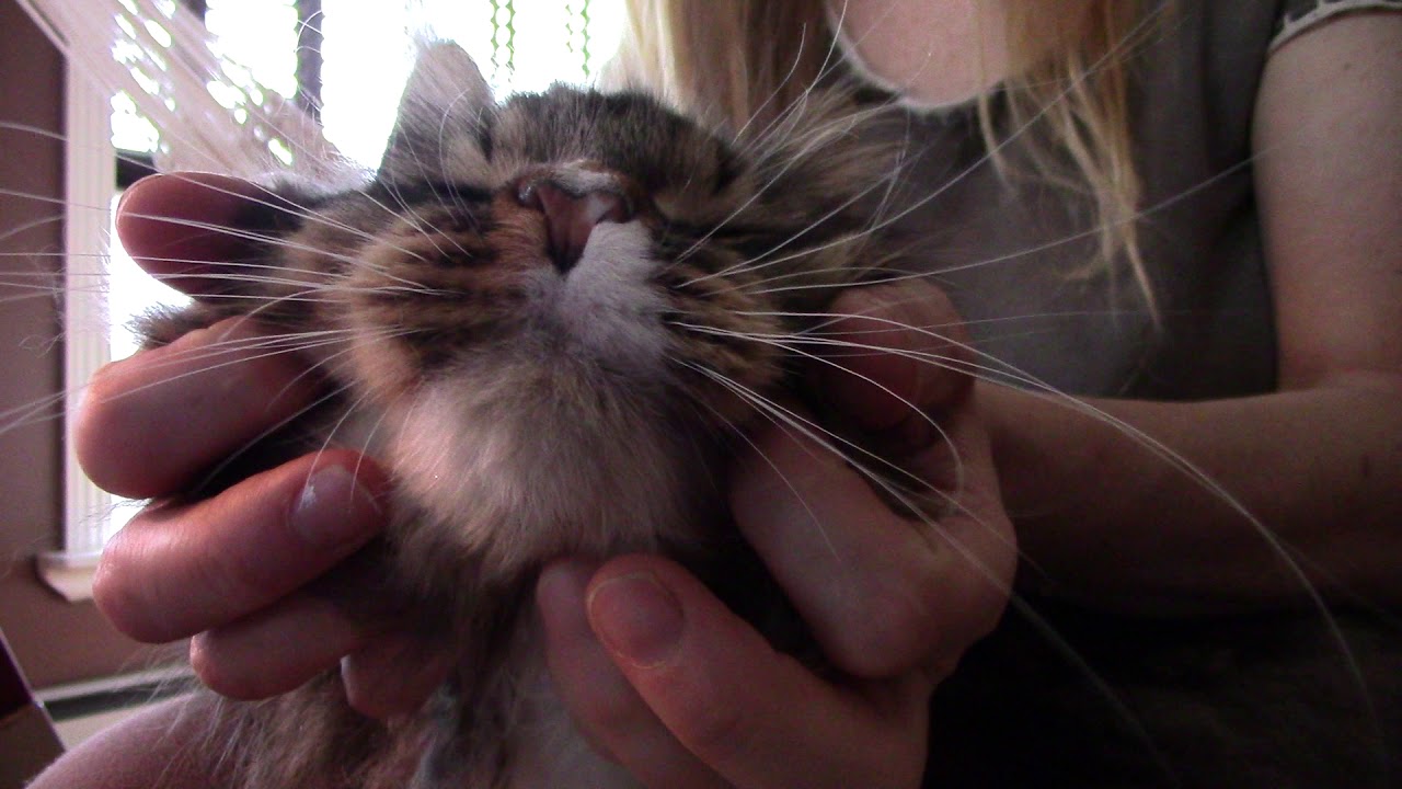 Fell asleep during his massage