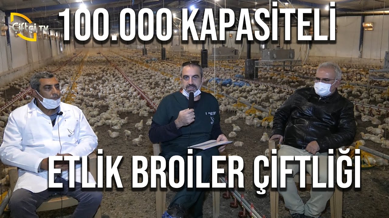 100.000 Kapasiteli Etlik Broiler Çiftliği - Dr. Cem İle Kanatlılar