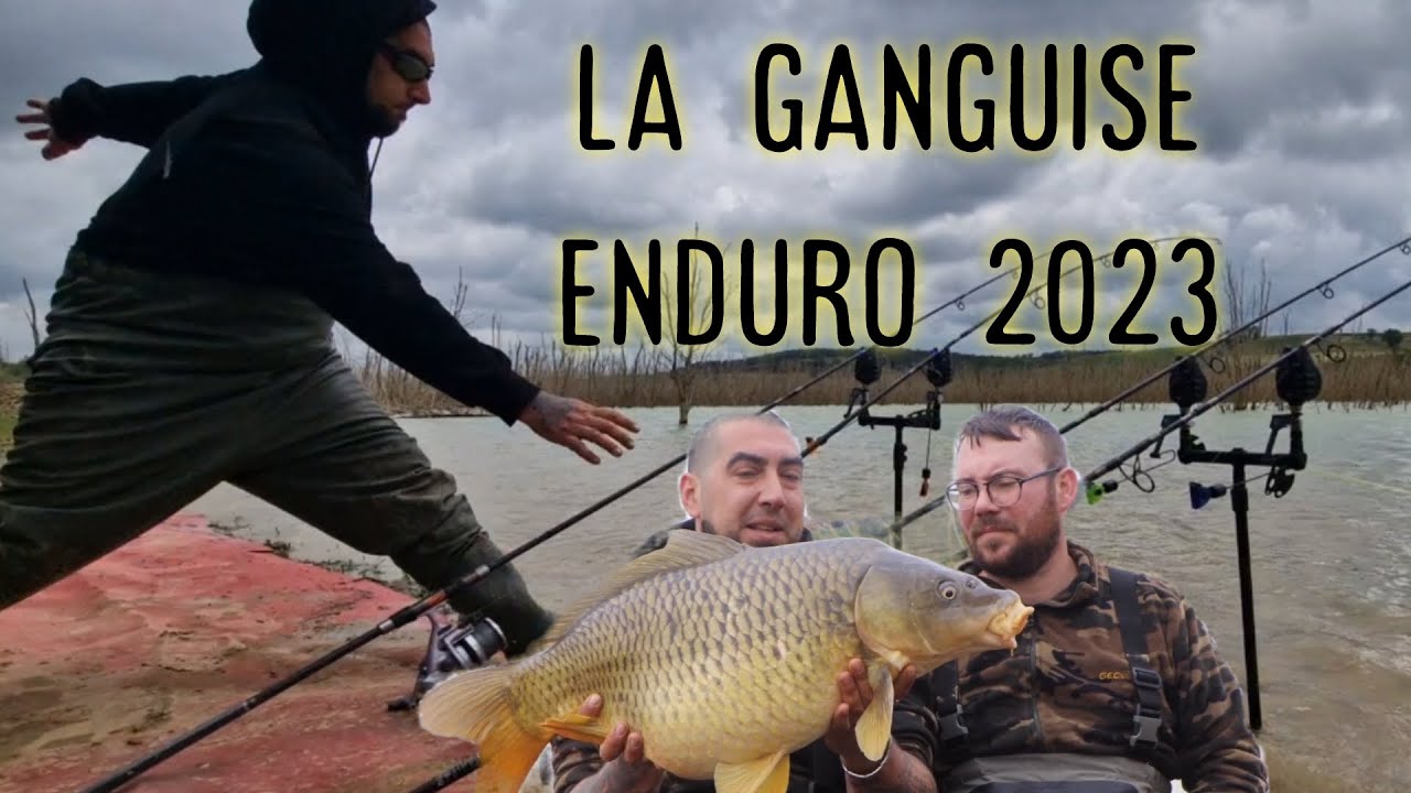 pêche de la carpe : enduro de la ganguise 2023 #carpfishing #pêche #enduro #competition #carp