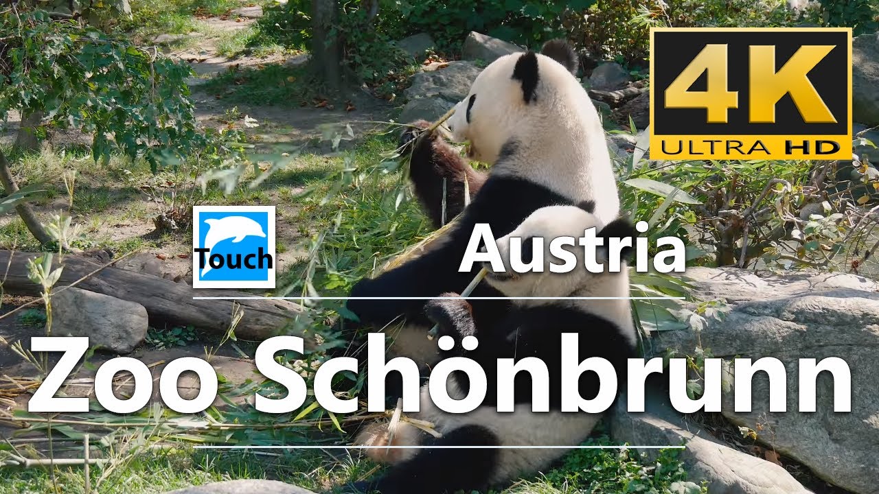 Tiergarten Sch&ouml;nbrunn, Wien, &Ouml;sterreich, 10 Min. - 4K #TouchOfWorld