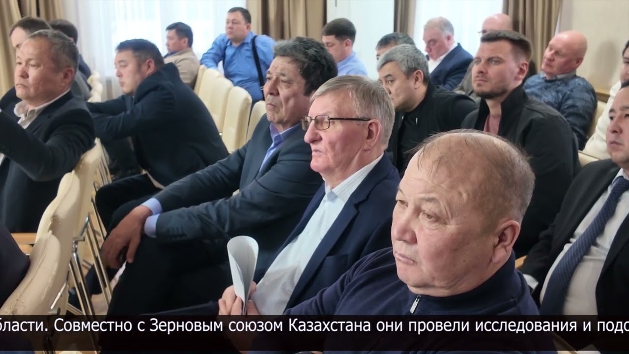 В СКО хотят применять китайскую технологию выращивания кукурузы